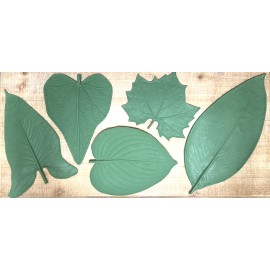 Large Leaf Assortment Set #2 (Set of 5)